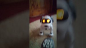 У меня есть собака робот! (Пультовод) (он в конце походу ломается)