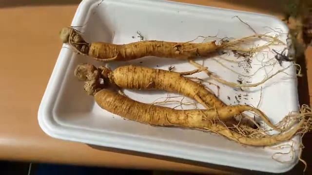 Так вот ты какой, северный олень! О белом женьшене. смотреть онлайн