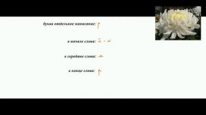 24 буква   Мим   арабского алфавита.