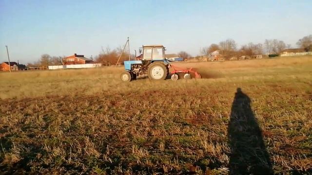ВЕСЕННЕЕ БОРОНОВАНИЕ ЛЮЦЕРНЫ ДИСКАТОРОМ     БДН 2.4