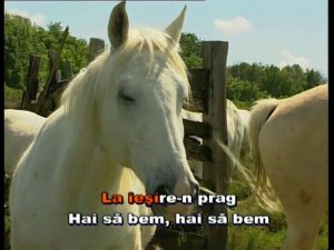 La botul calului. Karaoke