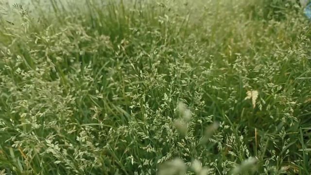 АСМР НА НАБЕРЕЖНОЙ ? | ASMR ON THE EMBANKMENT ?#асмр #асмрвидео #асмрнарусском #асмр_для_сна