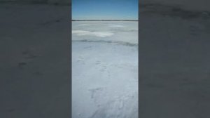 Снегокат, ледокат своими руками