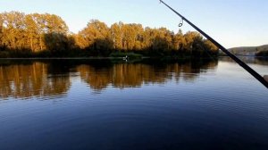 Nautilus Fugu 782L / Рыбалка с берега на спиннинг / Палка под отводной поводок и лайт джиг!