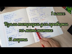 Взяла тетрадки для проверки