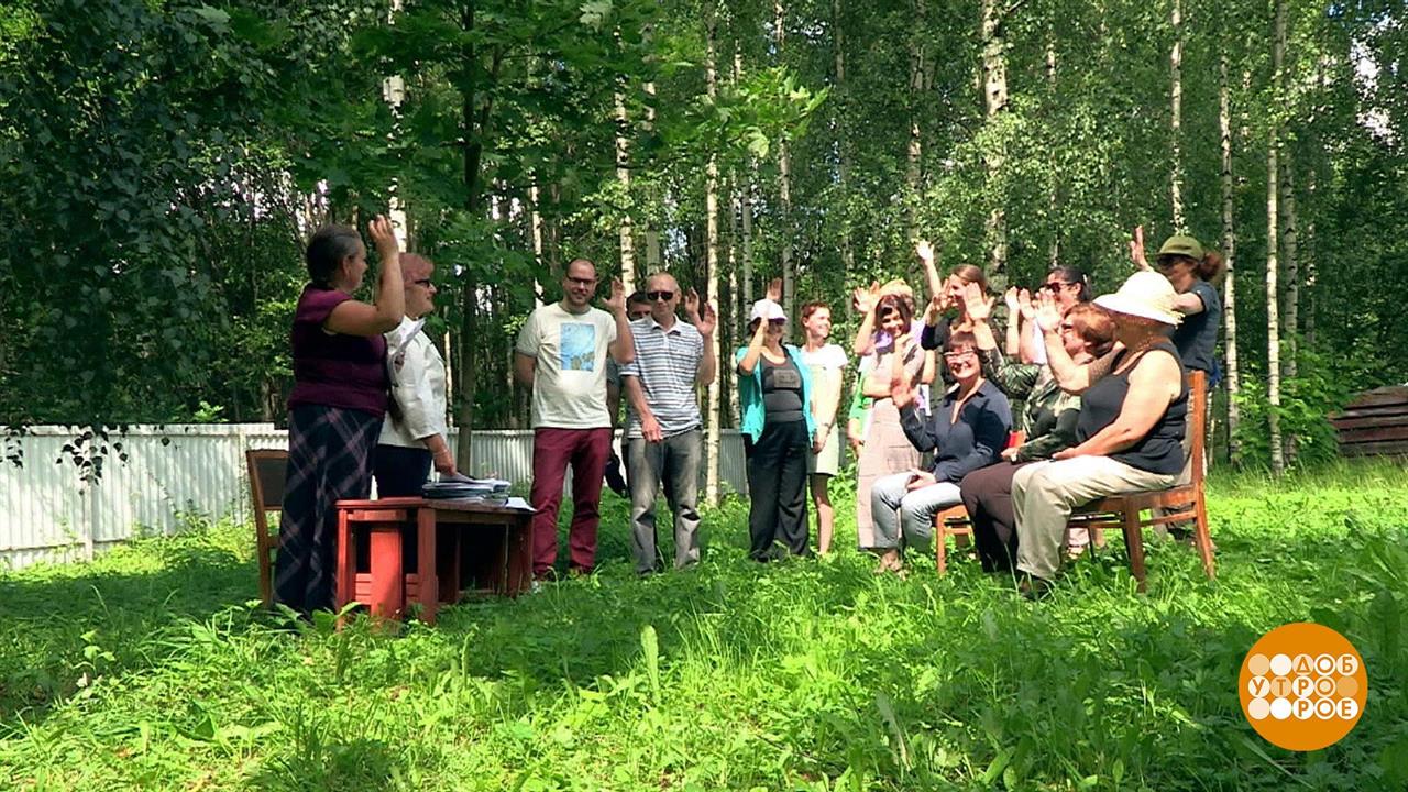 Лицензия на скважину и другие дачные документы. Доброе утро. Фрагмент выпуска от 16.08.2019