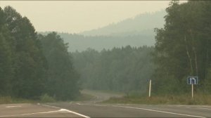 Лесная отрасль (видео на русском языке).mp4