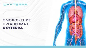 ОМОЛОЖЕНИЕ ОРГАНИЗМА ПРИ ГИПОКСИ-ГИПЕРОКСИЧЕСКИХ ТРЕНИРОВКАХ НА OXYTERRA