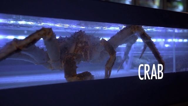 Свежие морепродукты в Ташкенте смотреть онлайн