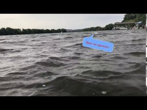 Тренировки продолжаются 2020-09-13 Академическая гребля #rowingrussia