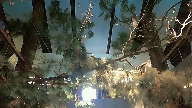 Обзор экспозиций музея природы в а.г. Лясковичи
