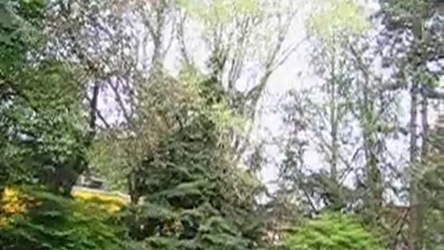 Ixus 500 test in 320*240 смотреть онлайн