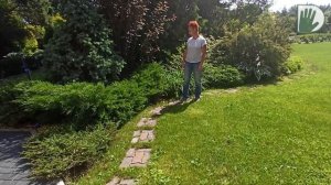 Видео журнал «Сады в отличной форме №48» Сад и цветники в Английском стиле. Дизайн и уход. Часть 2