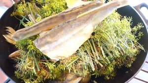 Цимлянская Донская уха,самая не обычная  #Уха#Судак#Щука#Казан