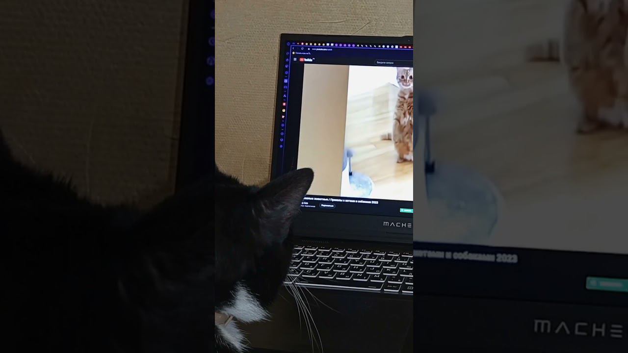 25 марта 2024 г. смотреть онлайн