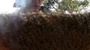 Инновационная рамка плюсы и минусы. Рамка для пчел. Пчеловодство