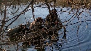 ПОЙМАЛ БРАКОНЬЕРОВ С ПОЛИЧНЫМ!!!
