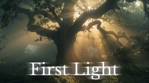 Первый Свет Красивый Лес Дубовая Роща Туман Утро #travel #adventure #morning #forest #sony #views