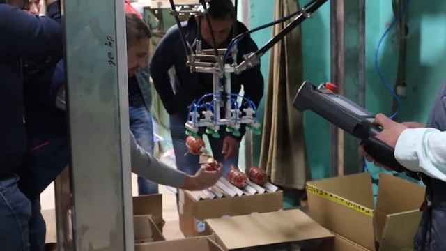 Автоматический укладчик колбасы в гофрокороб на базе робота  Fanuc серии M-3 | Тест