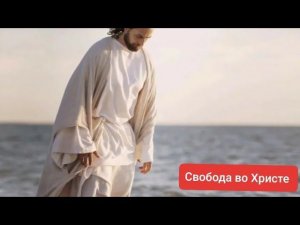 Сезоны роста или притча о курах и орлах./Олег Мамонтов