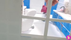 ХОМЯЧКИ У ЗУБНОГО ВРАЧА/ МИНИ СТОМАТОЛОГИЯ