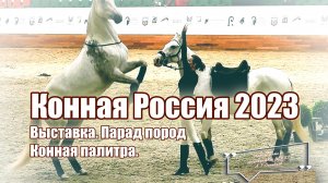 А.Г.Огнивцев: Конный спорт. 8-я Международная конная выставка Конная Россия. Октябрь 2023.