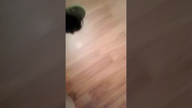 МОИ ФУТЗАЛКИ МЕССИ 16.3 смотреть онлайн