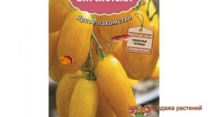 Томат обыкновенный Банан желтый (banan zheltyy) ? обзор: как сажать, семена томата Банан желтый