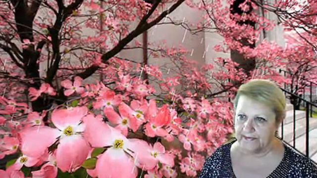 СПАСИБО ВАМ МОИ ДРУЗЬЯ