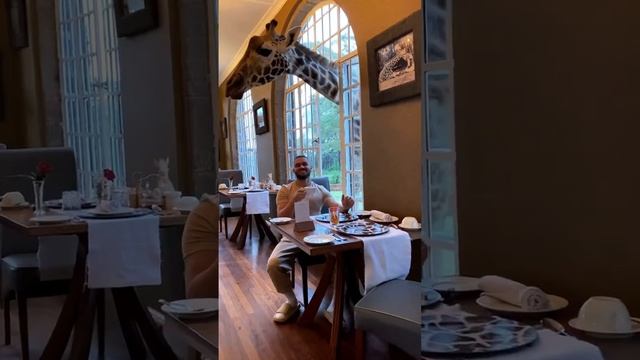 VID_20221222_211507_824.mp4