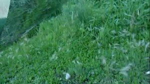 кастинговая сеть 2 м супер рыбалка