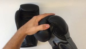 Обзор перчаток TWINS BGVL-6