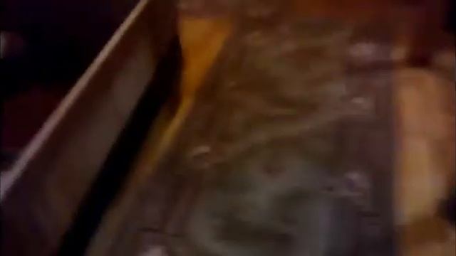 Воспитание щенка лабрадора для охоты часть 2 смотреть онлайн