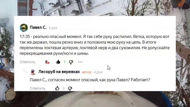 Ошибка арбориста при которой можно остаться без руки