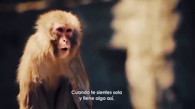 Интересное 5 РЕАЛЬНЫХ ДЕТЕЙ, ВЫРОЩЕННЫХ ЖИВОТНЫМИ смотреть онлайн