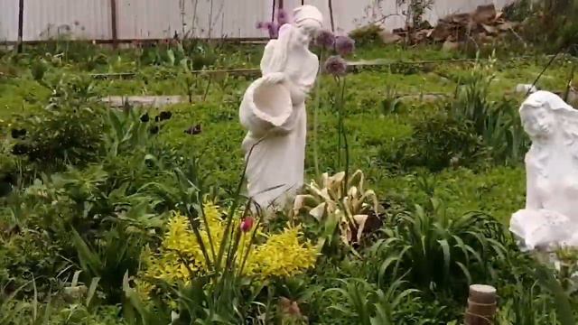 ЕЙСК. ДАЧИ 🍒ВСЕМ ПРИВЕТ ИЗ КРАСНОГО СУЛИНА! смотреть онлайн