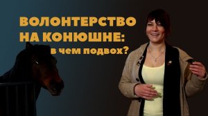 Волонтерство на конюшне: в чем подвох?