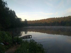Готовим уловистый аттрактант (ароматизатор) для рыбалки сами,дома.