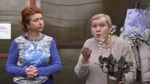 Драгоценные орхидеи - разновидности и советы по уходу.