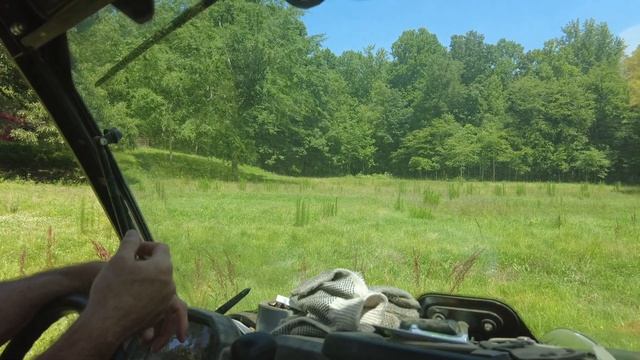 Zone 2-3 Pasture/Silvopasture Review by Nick Ferguson (Part 2 of 4) смотреть онлайн