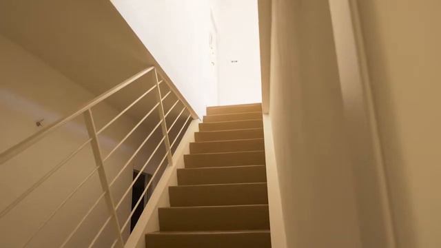 Video Negroli смотреть онлайн