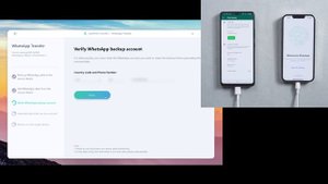 iCareFone Transfer User Guide: How to Transfer WhatsApp from Android to iPhone
