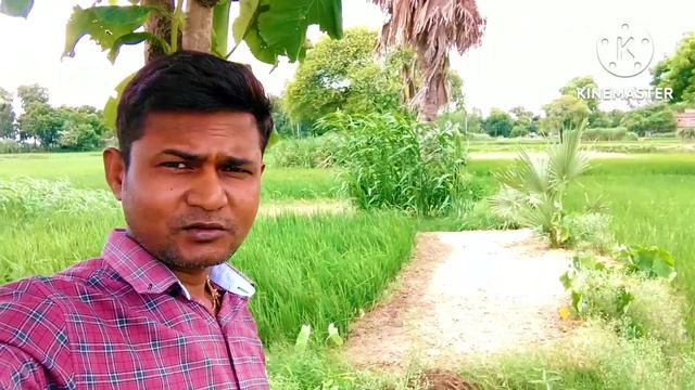 My first vlog || my first video on YouTube || unita krishna blog  🙏🙏🙏