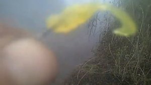 Какие приманки я использую при ловле на кораблик
