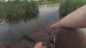 Ловлю карася на пуфики. Вечерний жор карася. Поклевки крупным планом