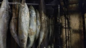 ИВАСИ (дальневосточная сардина) холодного копчения в Моските (метод  Карусель).mp4