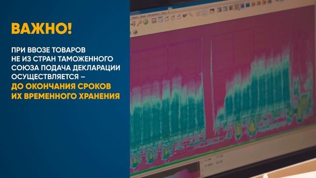 Таможенное декларирование товаров в Казахстане. Особенности и порядок