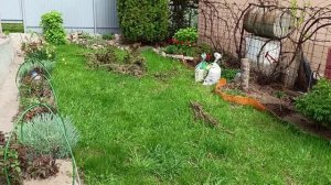 НА ДАЧЕ В НАЧАЛЕ МАЯ