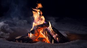 Потрескивающий костер ночью в зимнем лесу.