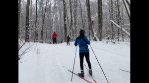 Основы спуска и подъема на лыжах